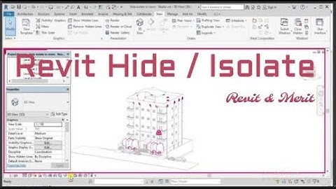 Video 45-Revit Hide-Isolate-Duplicate