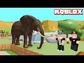 Hayvanat Bahçesi Kuruyoruz!! - Panda ile Roblox Zoo Tycoon