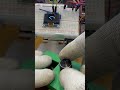 I turned an encoder into a speed meter