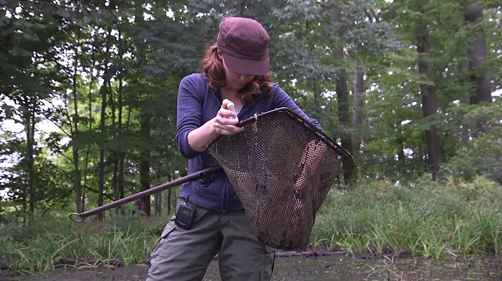 Women In Science Day - Roberta Muehlheim, Ecologist