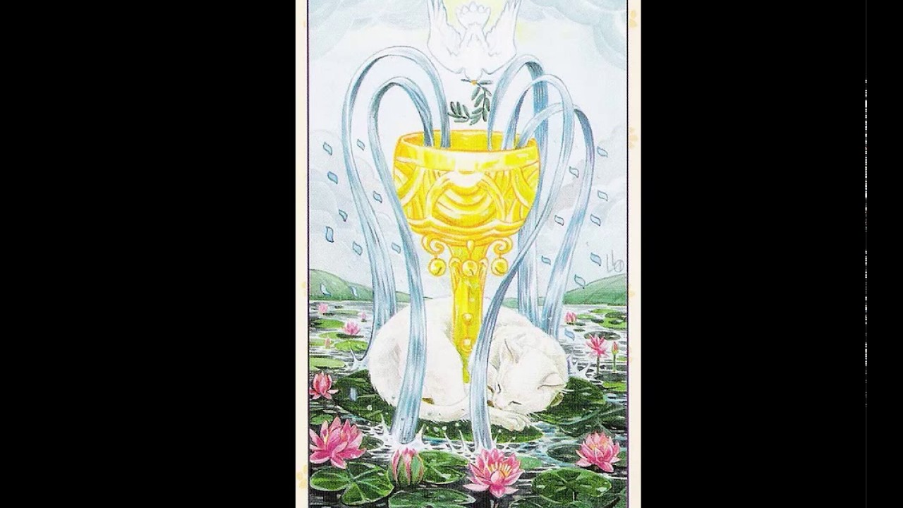 Карта таро двойка кубков на обои телефона