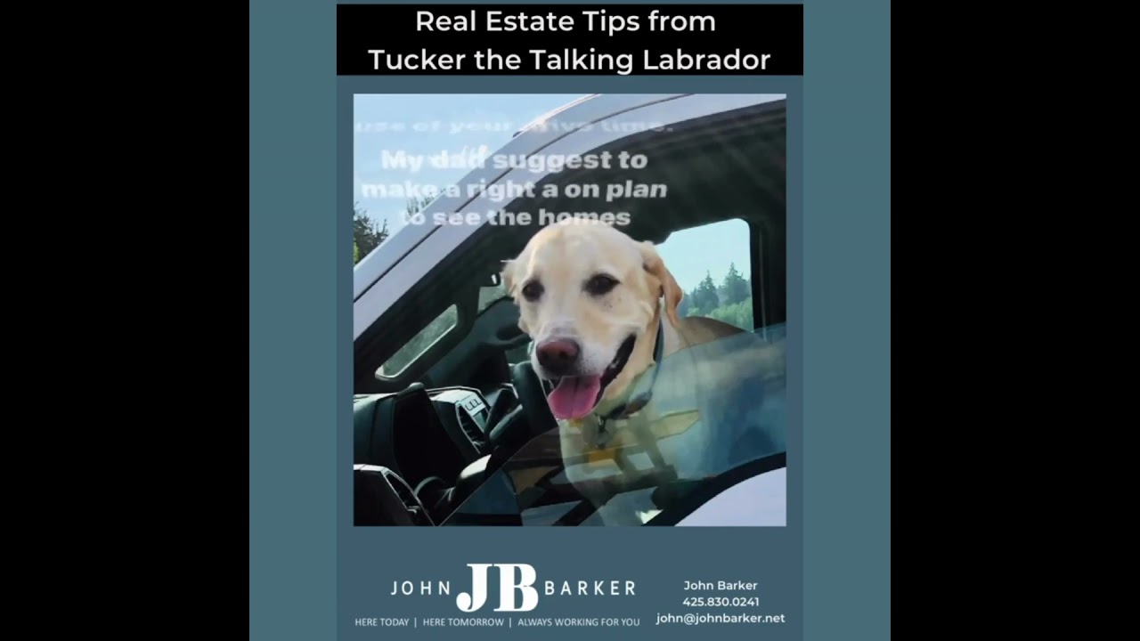 Tucker the Talking Labrador Real Estate Tip for May 24, 2023
