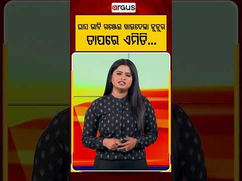 ଘାସ ଭାବି ଗଞ୍ଜେଇ ଖାଇଦେଲା କୁକୁର ! | Pet Safety | Viral Video | Animal Lovers | Argus News