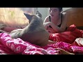 CUTE GIRL CARESSES HER DOG TO SLEEP BUT HE WON'T