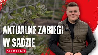 Aktualne zabiegi w sadzie i kluczowa #ochrona przed przymrozkami