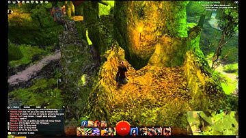 Guild Wars 2 - Caledon Forest - All Vistas Guide