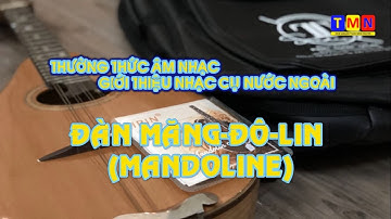 Thường thức âm nhạc GIỚI THIỆU ĐÀN MANDOLINE - (SGK Âm nhạc Chân Trời Sáng Tạo - Lớp 5) #coverbytmn