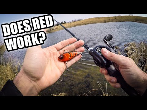 A RED Lipless Crankbait for Spring Bank Fishing? (Bass DO Eat It