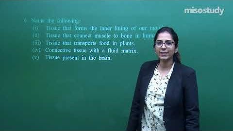 CBSE 09&10th Biology | 02. Tissues | CBSE Pattern Question Exercise