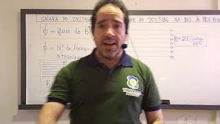 Eletromagnetismo - Live 9 - Indução eletromagnética - Lei de Faraday - prof Renato Brito