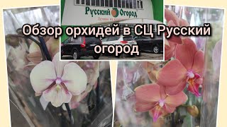 Обзор орхидей в СЦ Русский огород, г. Щелково#обзор#цветы#орхидеи#цветоводство#original