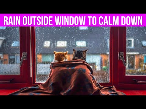 Rain outside window