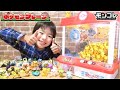 【ピカチュウ大発生！】メス(♀)のピカチュウはどこだ！？ポケモンクレーンでモンコレを大量にゲットだぜ！お家でクレーンゲーム！【ポケットモンスター】【Pokémon】コーキtv