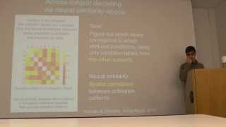 Intro. to fMRI - Wk7, Class2, Pt.2: Neural similarity, continued