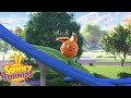 SUNNY BUNNIES The Enormous Slide Season 4 Cartoons For Children 