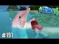 IL RARO DELFINO ALBINO - The Sims 4 #191