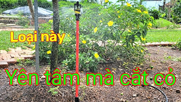 Bộ béc tưới gắn liền cây cắm sợi thủy tinh tha hồ mà cắt cỏ