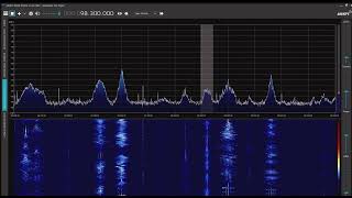 経典983(南譙電台) 98.3MHz 2022/06/22 1300 JST
