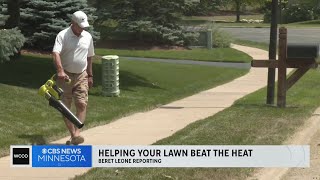 Tips to help your lawn beat the heat