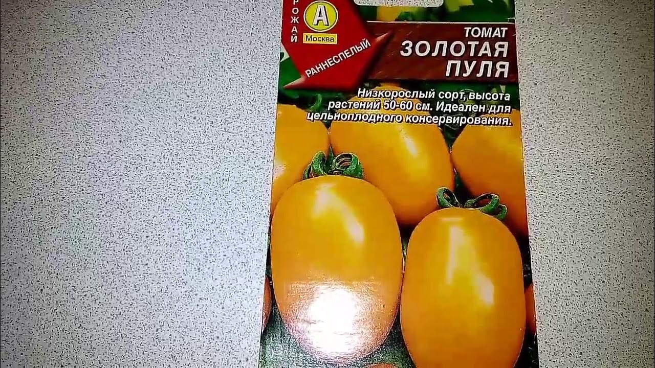 Помидоры пуля фото
