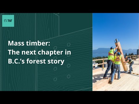 Mass timber: the