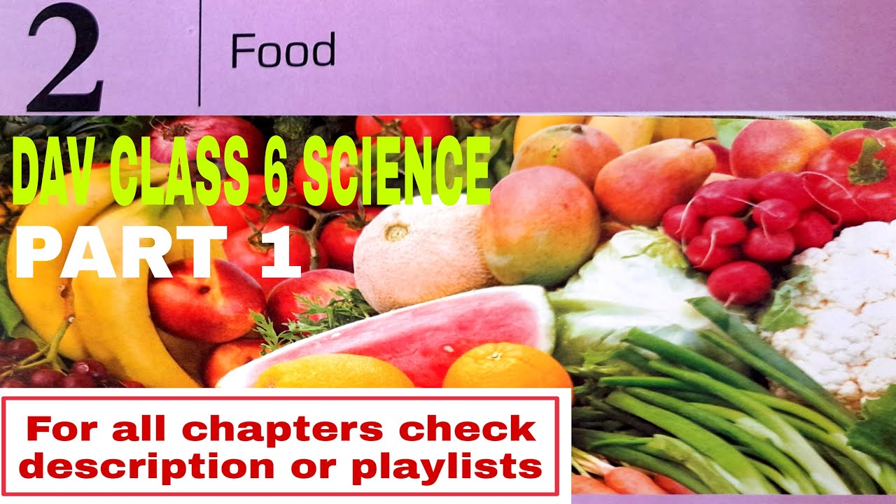 dav-class-6-science-chapter-2-food-full-explanation-part-1-by