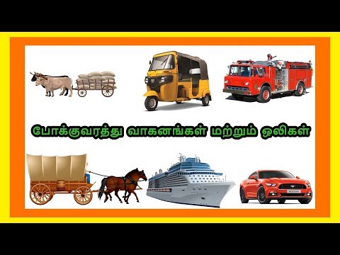 போக்குவரத்து வாகனங்கள் மற்றும் ஒலிகள்| Learn Transport Vehicles name in Tamil for kids