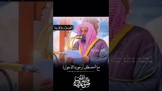 شعر حسان رضي الله عنه في رثاء خير البرية ﷺ