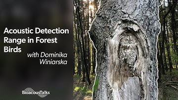BioacousTalks: Acoustic Detection Range in Forest Birds with Dominika Winiarska