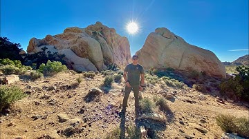Joshua Tree National Park Drone | Roadtrip 2020