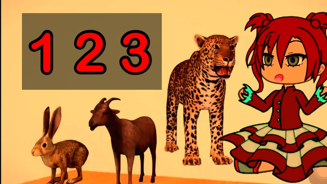 Animals name ][animal cartoon animals names for kids YouTube