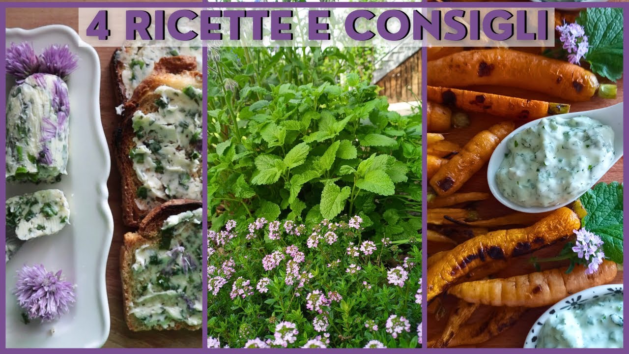 ERBE AROMATICHE: come utilizzarle nelle ricette