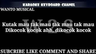 KOCOK KOCOK MIX VOC. INUL DARATISTA KARAOKE KN7000