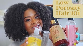 Best Products for Low Porosity Hair & Ingredients to Avoid