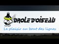 Drle doiseau kites canard sul brief first impressions