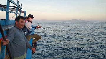 câu jig cá mú đỏ