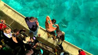 Semifinal - Sean Mccoll Vs Chris Sharma - 2014 Clif Bar Psicobloc Masters