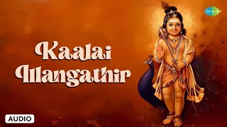 Kaalai Illangathir | Dr Sirkazhi S Govindrajan | Lord Murugan Songs Tamil
