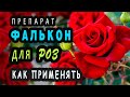 Фунгицид ФАЛЬКОН. Применение ФУНГИЦИДА на розах