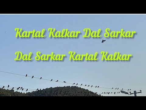 Tekerleme (Kartal Kalkar Dal Sarkar Dal Sarkar Kartal Kalkar)