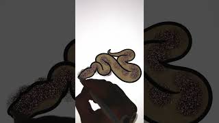 How To Draw Animals | Drawing and Coloring a Snake #art #drawing #howtodraw #animals