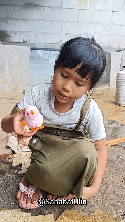 CARA SEMBUHIN AYAM YANG MAU MENINGGOY