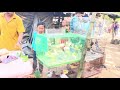 Kharagpur er Most Underrated Bazar – Tangra Hat Vlog