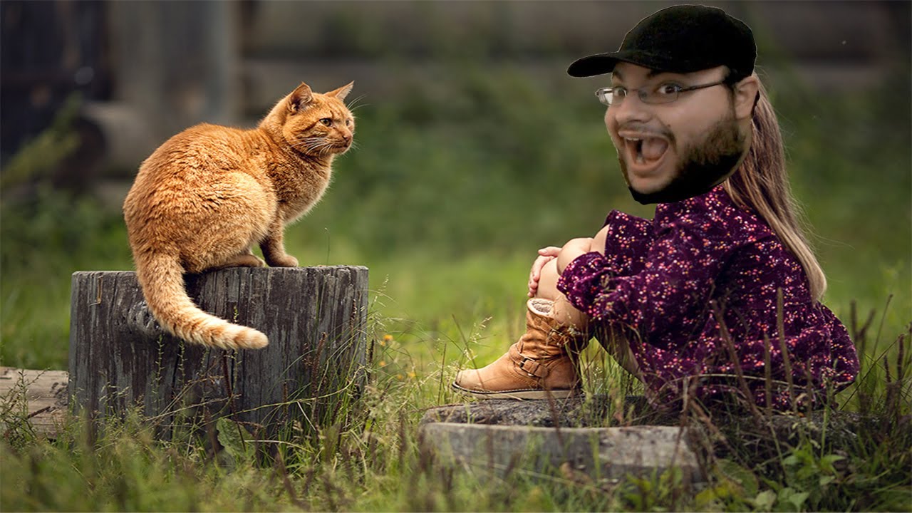 La Leyenda del gato de Rangu