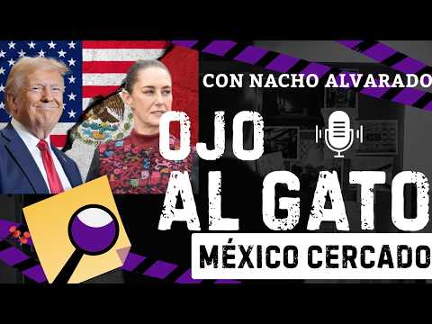 Ojo al gato