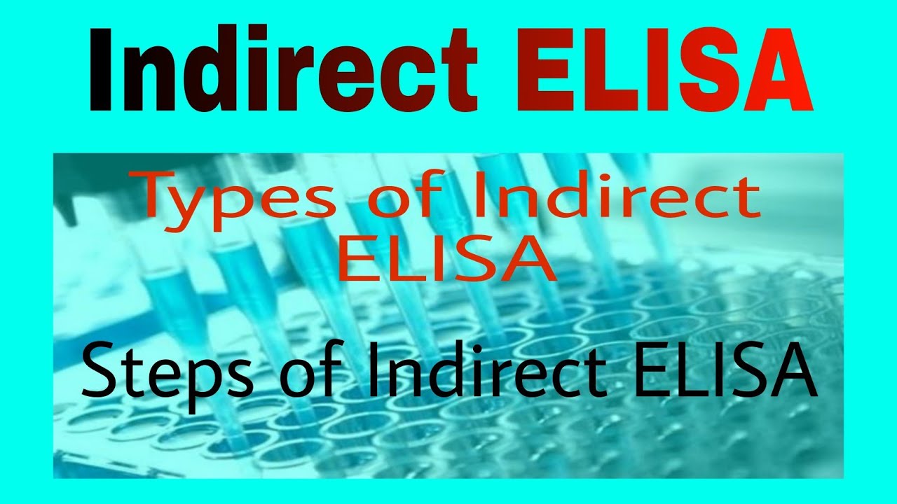 Indirect ELISA|Types of indirect ELISA|Steps of indirect ELISA - YouTube