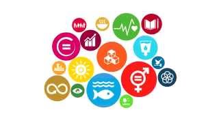 Introduction To Sdginsights