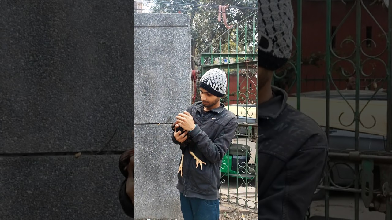 Mene Sultan Ko Serprise Diya 