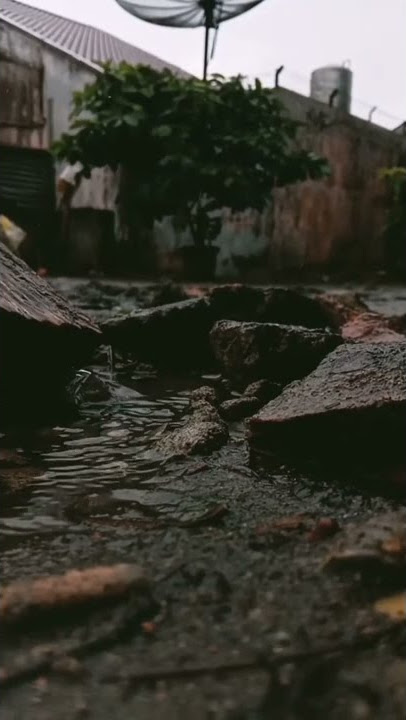 mentahan saat hujan || buat editor Quotes Story