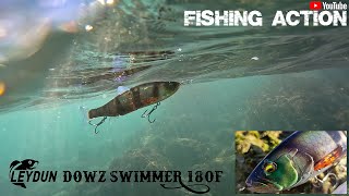 LEYDUN Dowz Swimmer 180F show & test